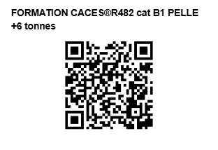 Formation CACES® R482 B1 pelle +6t